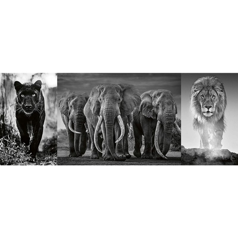RAVENSBURGER - Rompecabezas 1000 pz pantera elefante y león blanco y negro