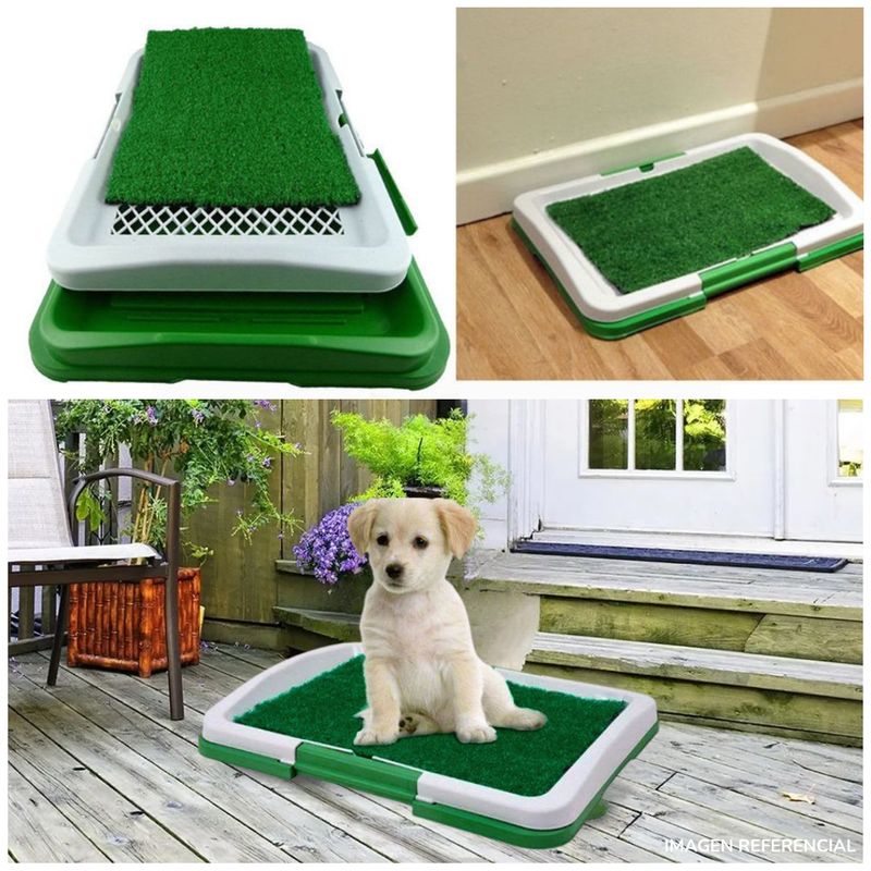 INSPIRA MARKET - Baño Ecológico para Mascotas Perros Pequeños Sanitario