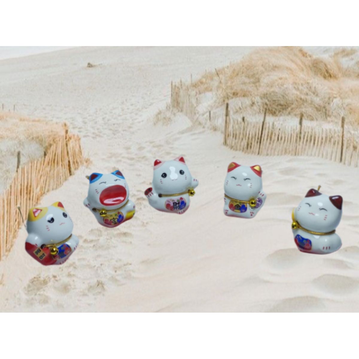 GENERICO - 5 ADORNOS DE GATO CHINO DECORATIVOS DIFERENTES DESEOS RIQUEZA Y FORTUNA