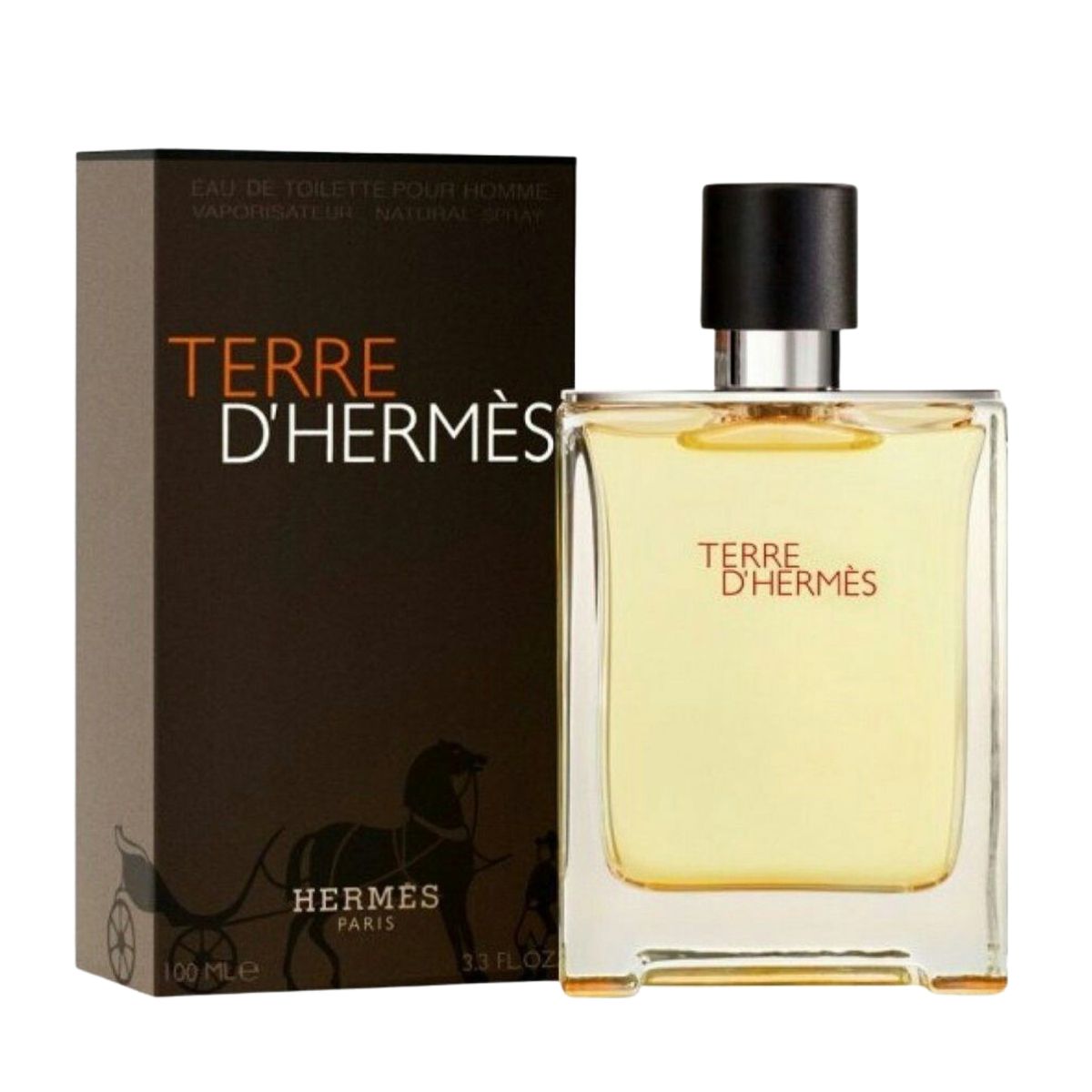 HERMES - Hermès Terre d’Hermès For Men Eau de Toilette 100 ml