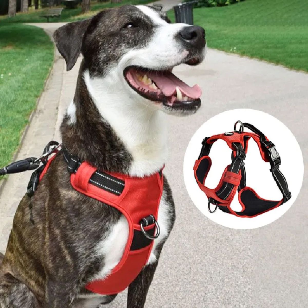 CROCI - Arnés tiras reflectivas Rando Walk Rojo - XL