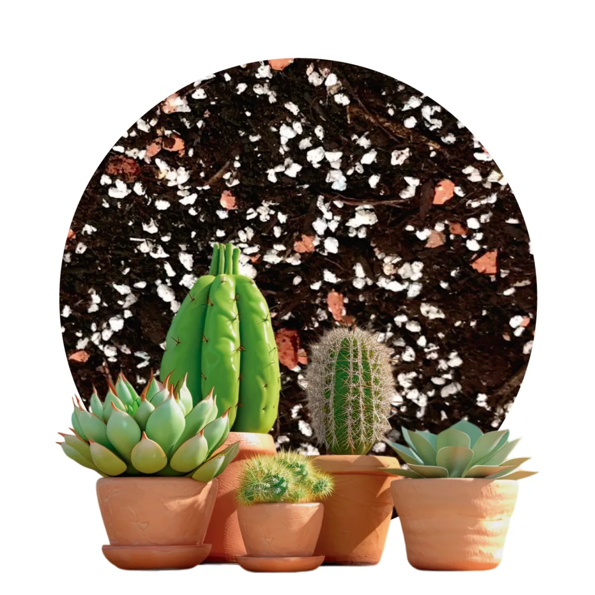 GENERICO - Sustrato Cactus y Suculentas Premium 2 Kilos (4 Litros)