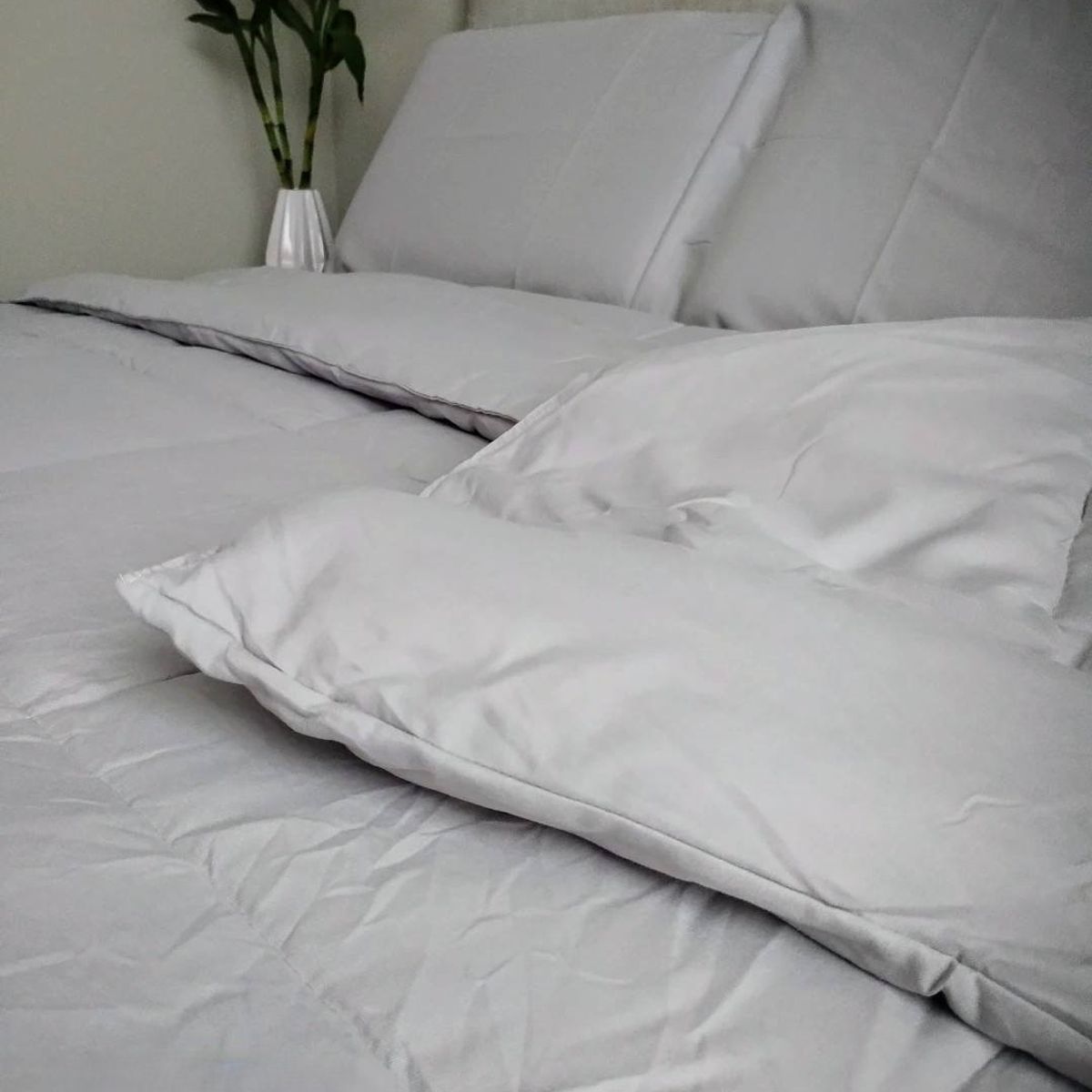 CASATEX - Edredón Liso Acolchado + Juego de Sábanas 100% Algodón 2 Plazas