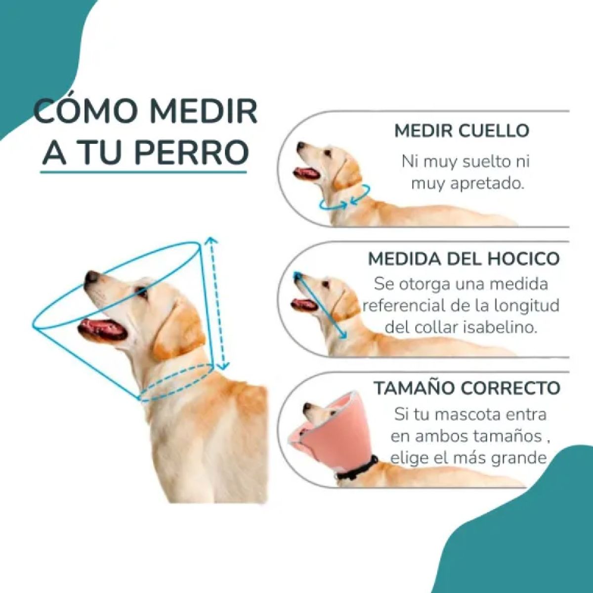 CAT OH - Collar Isabelino de tela león - S