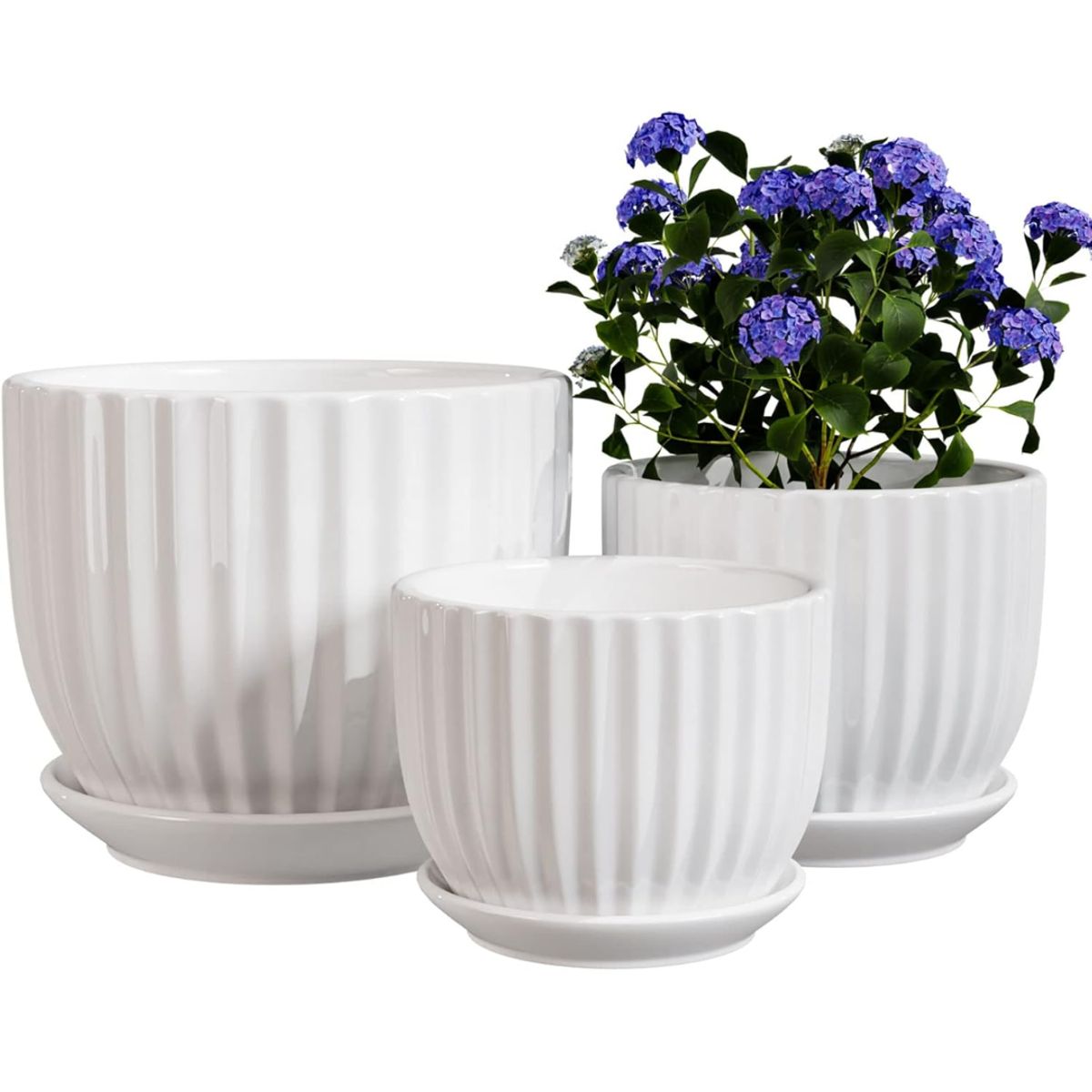 INSPIRA MARKET - Set x3 Maceteros de Cerámica Platito14 x 11 x 8