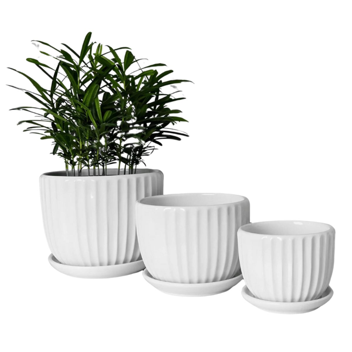 INSPIRA MARKET - Set x3 Maceteros de Cerámica Platito14 x 11 x 8