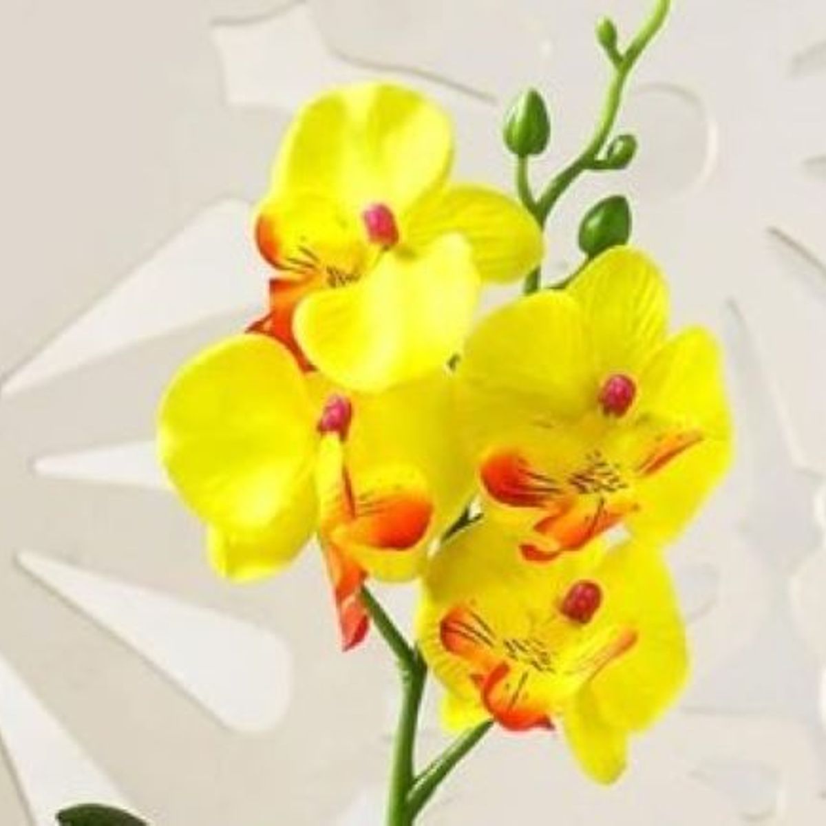 GENERICO - Orquídea Amarillas en jarrón de Escultura Abstracta