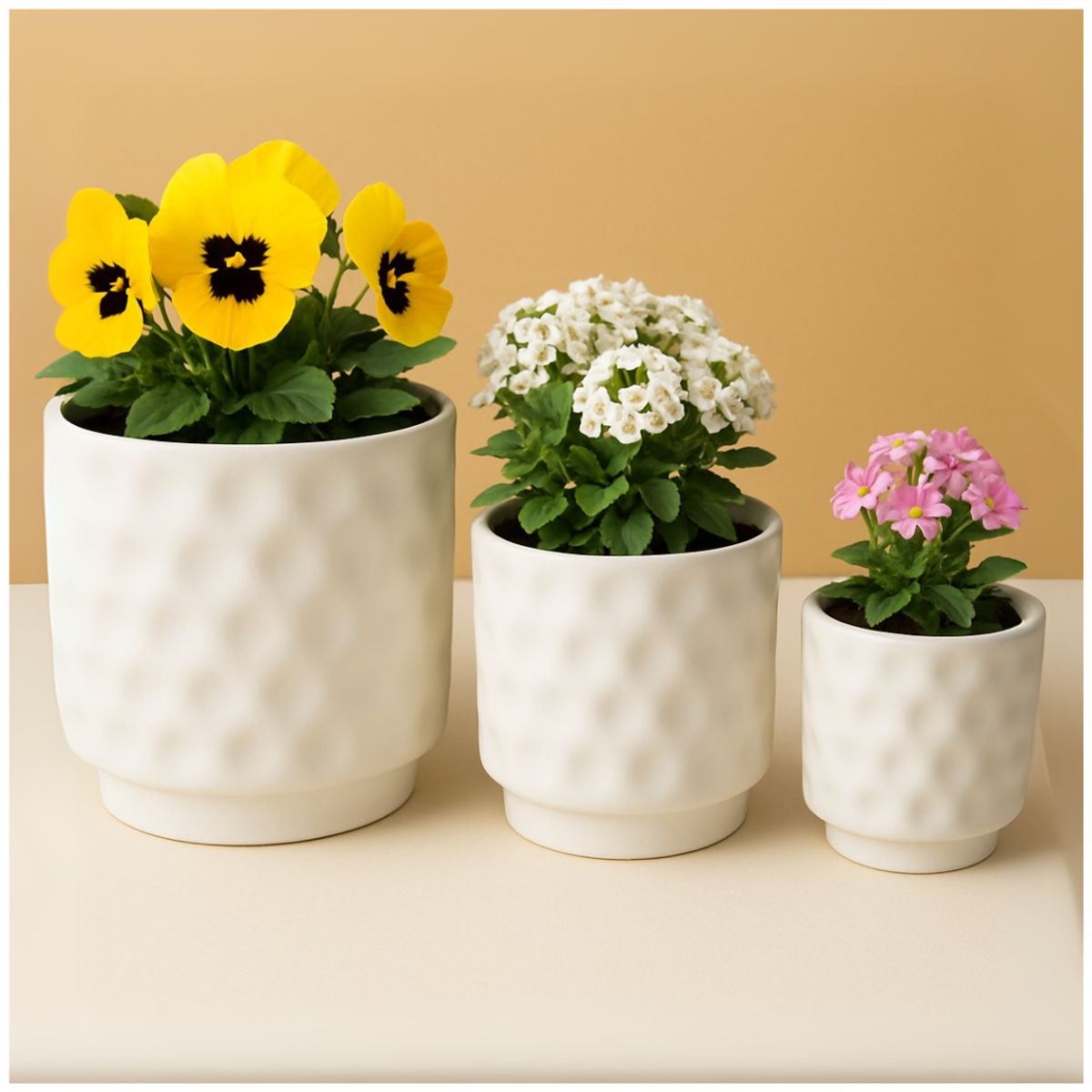 INSPIRA MARKET - Set x3 Maceteros de Cerámica Puntos 14 x 11 x 8