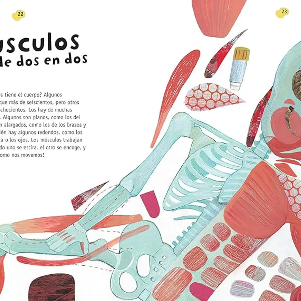 PLUTON EDICIONES - Maravillas del cuerpo humano
