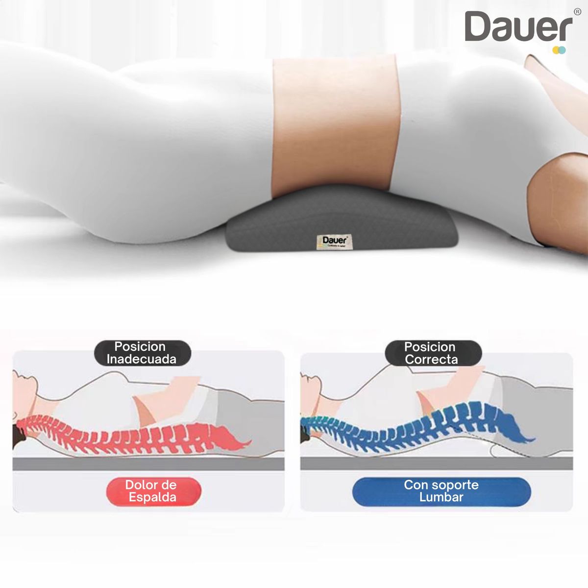 DAUER - Almohada de Soporte Lumbar Ortopedico Viscoelastico 60 cm