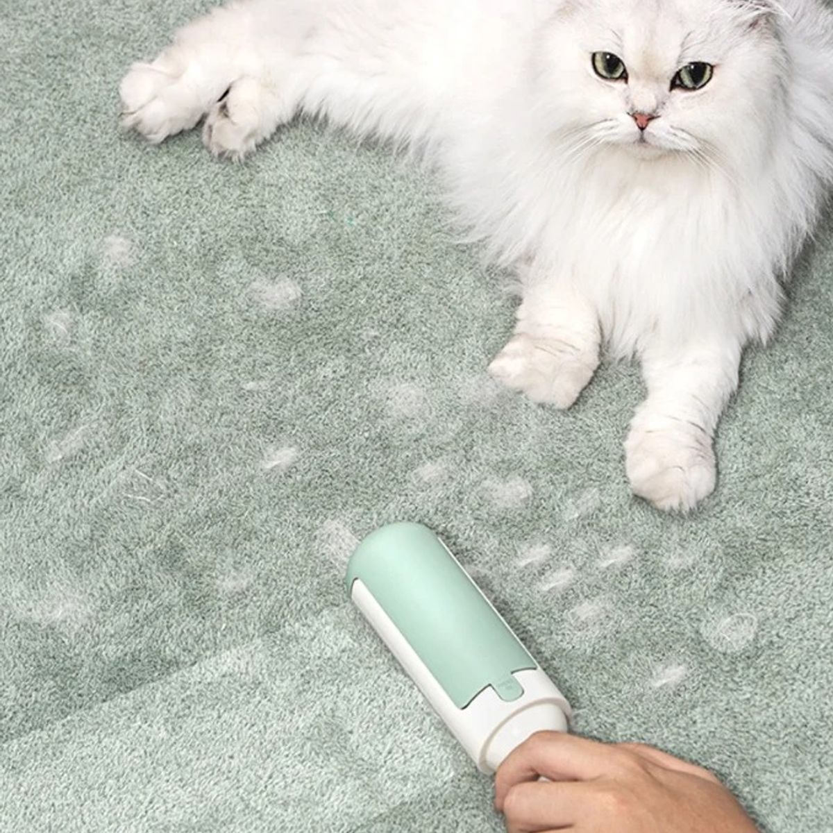 GENERICO - QUITA PELOS Y PELUSA DE MASCOTAS