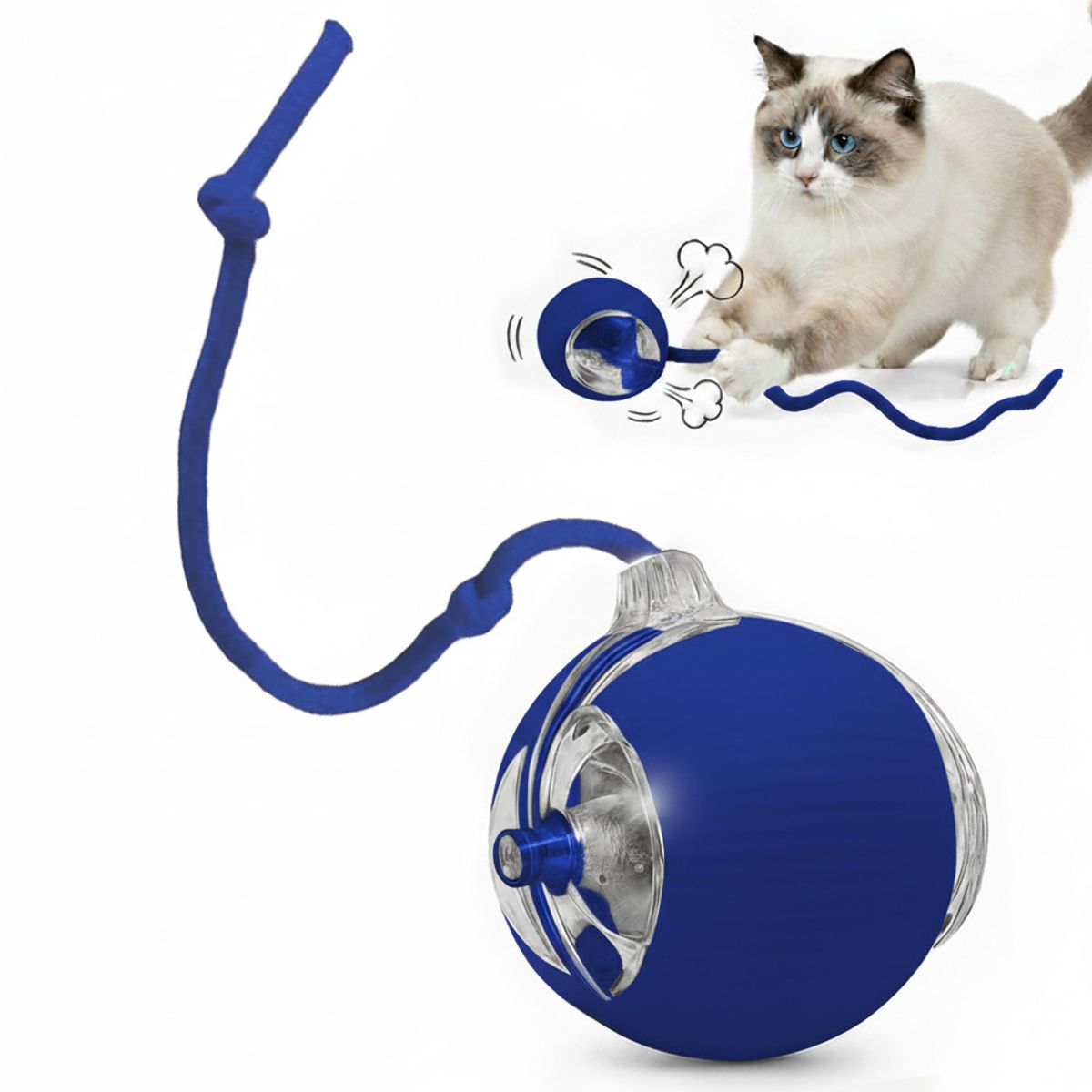 AMICATS - Pelota Interactiva con Cuerda para Gatos y Perros  Azul