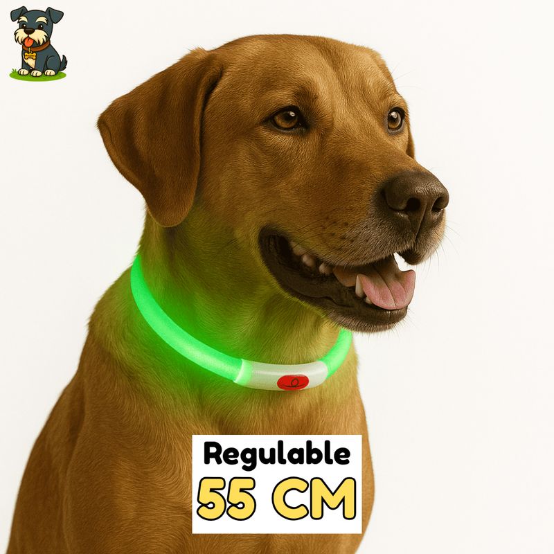 HAMACAS LIZARASO - Collar LED de 55 cm de Color Verde - Peluchin Store
