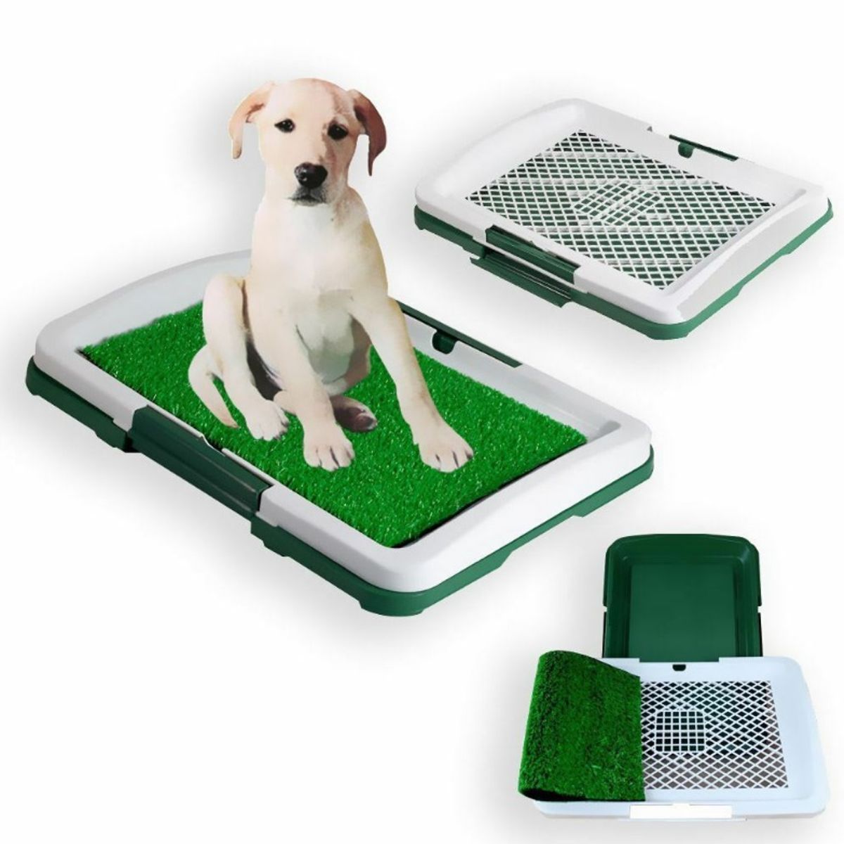 OEM - Baño Ecologico Puppy Potty Para Mascotas Perros