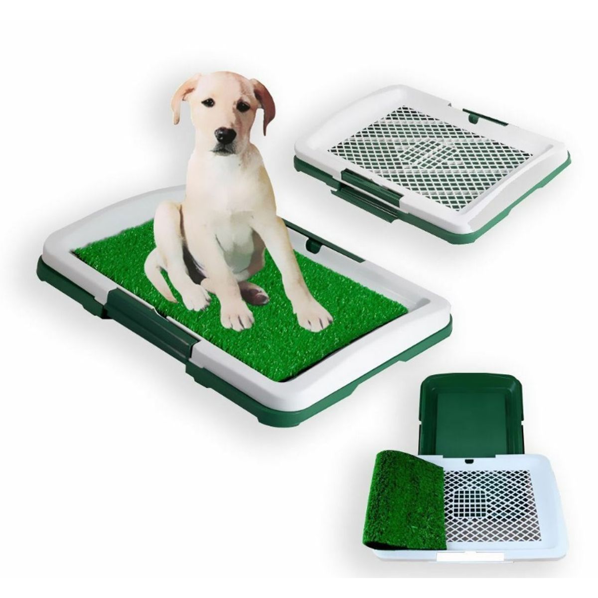 OEM - Baño Ecologico Puppy Potty Para Mascotas Perros