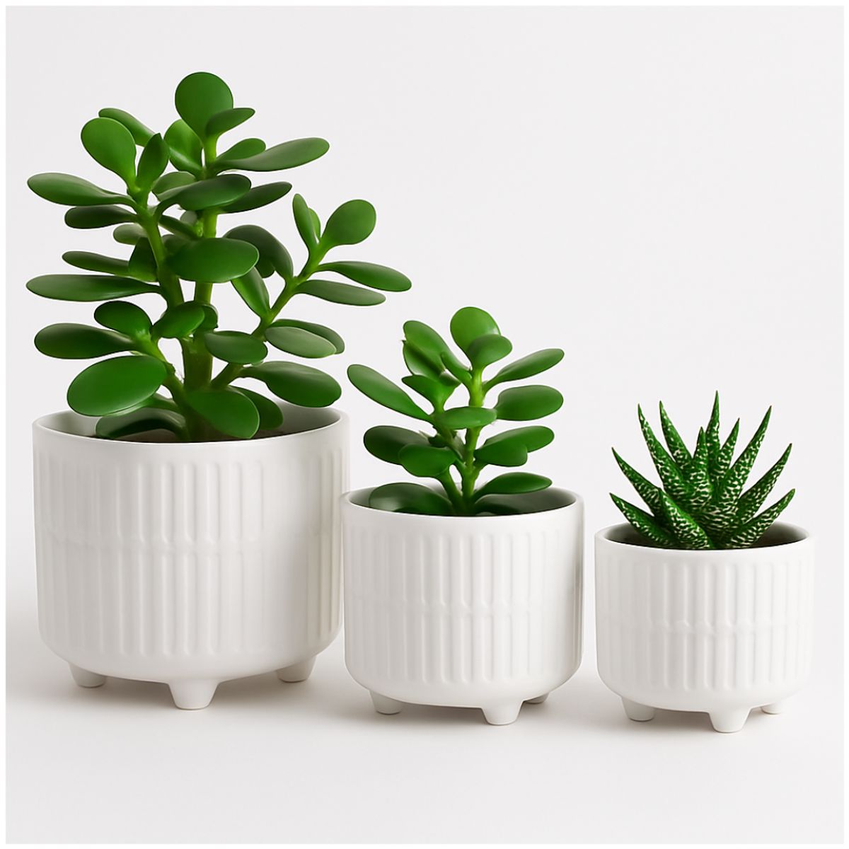 INSPIRA MARKET - Set x3 Maceteros de Cerámica Decorativo