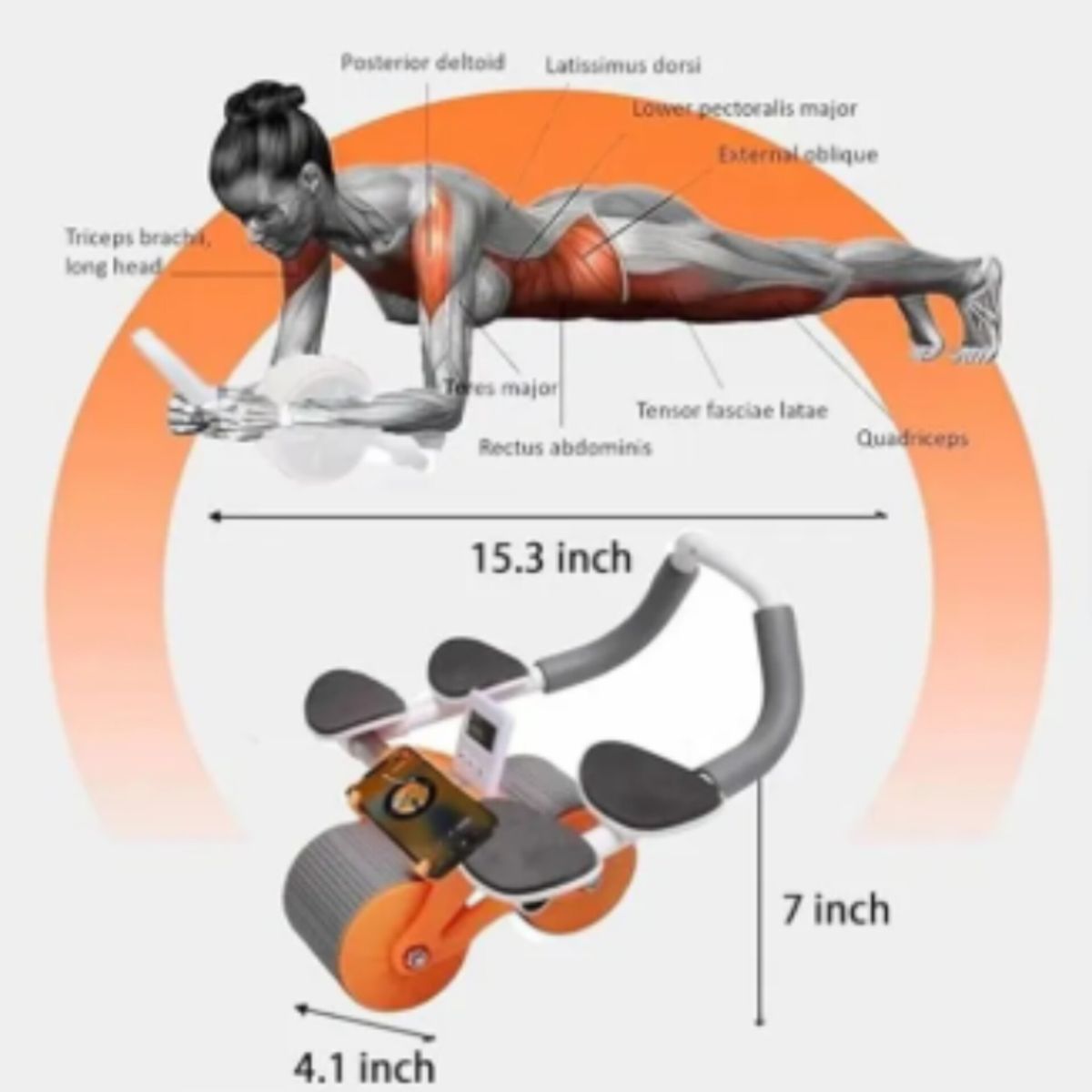 OEM - Rueda Ejercitador Abdominal Doble con Rebote + Temporizador UNISEX