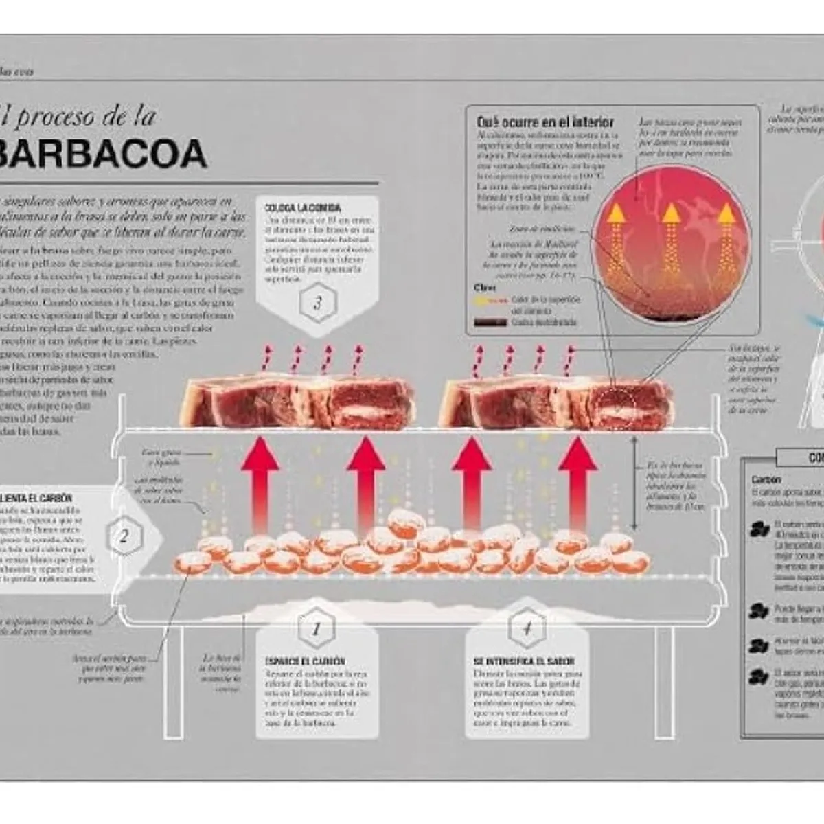 GENERICO - Cocinología La Ciencia de Cocinar  Stuart Farrimond - Cocina
