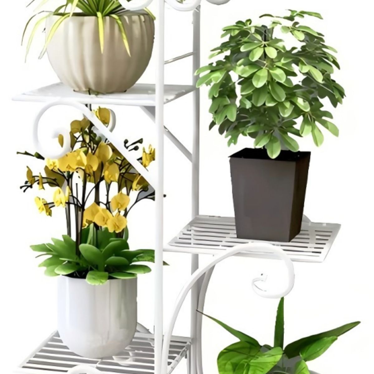 ANYHOGAR - Soporte De 5 Niveles Para Macetas Plantas Decorativo