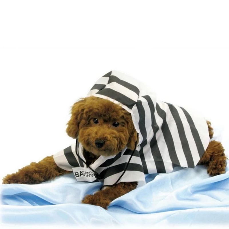 GENERICO - Disfraz para mascota de Prisionero - Talla única