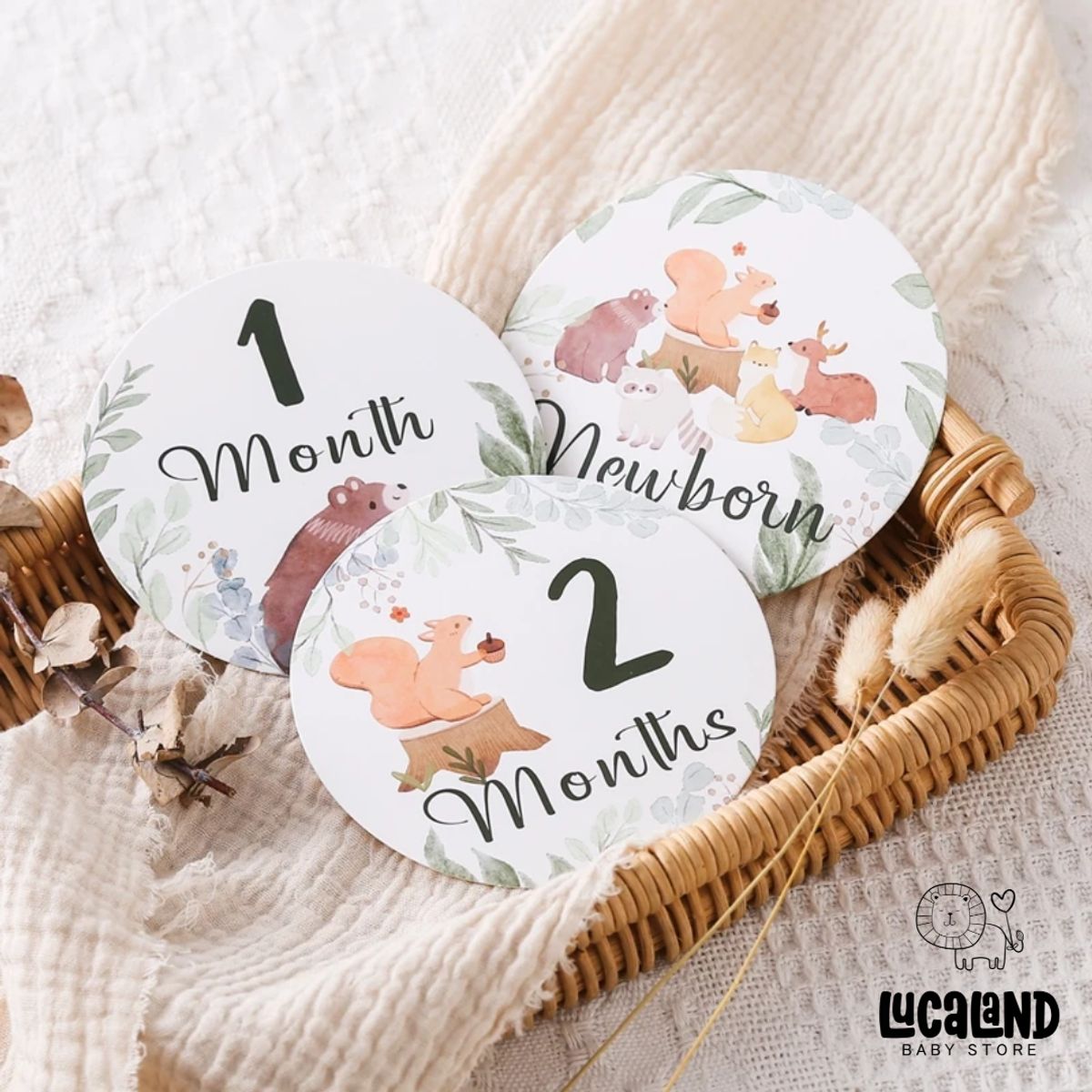 LUCALAND - TARJETAS DE MESES BOSQUE PARA BEBÉS
