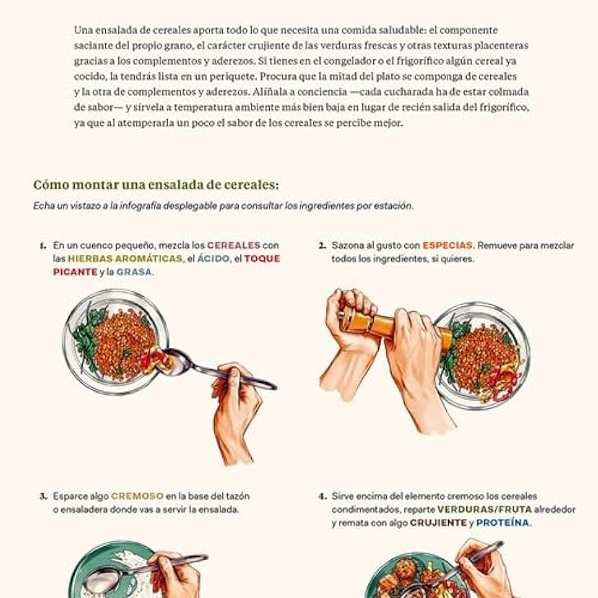 GENERICO - Cereales para las seis estaciones Cocina