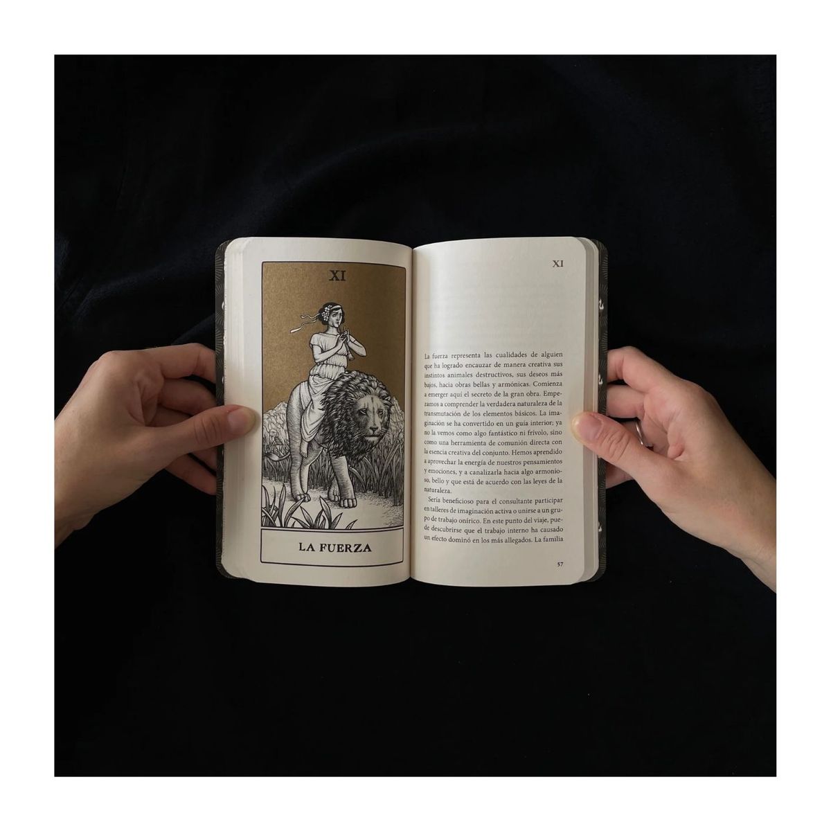 LIBROS DEL ZORRO ROJO - Los Arcanos Mayores del Tarot