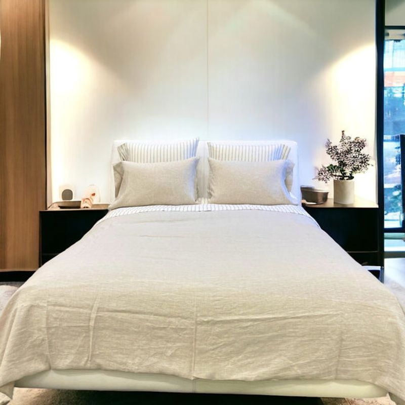 PLUMAS - Juego de Cubreduvet Lino Francés