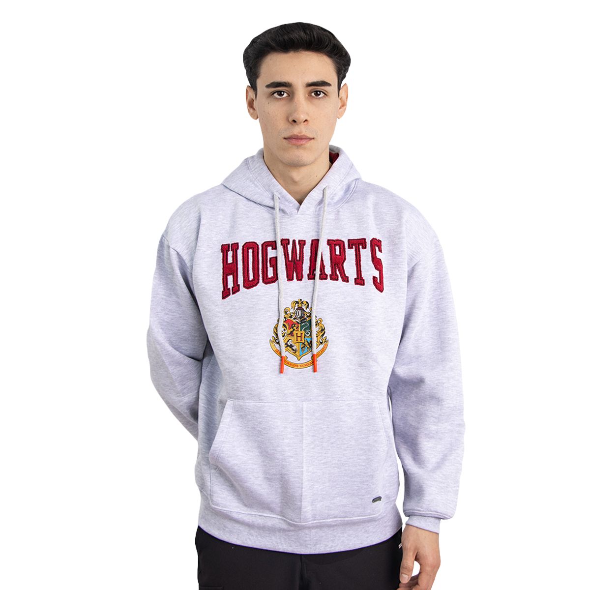 WARNER BROS - POLERA HARRY POTTER HOMBRE HUESO JASPE MLG