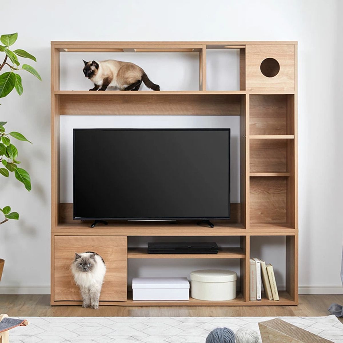 TU MESITA - Centro de Entretenimiento con Zona para Gatos Jalisco Panela TU MESITA