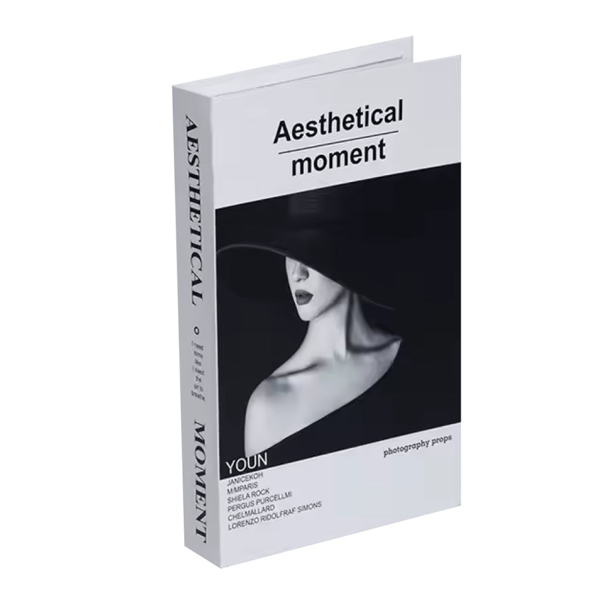 GENERICO - Libro Decorativo Aesthetical