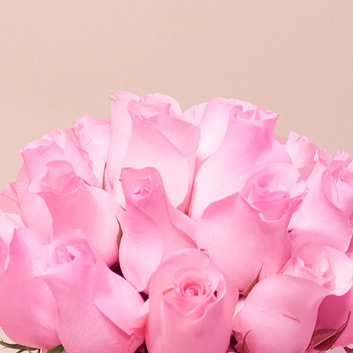 GENERICO - Box Flores Rosas Rosadas