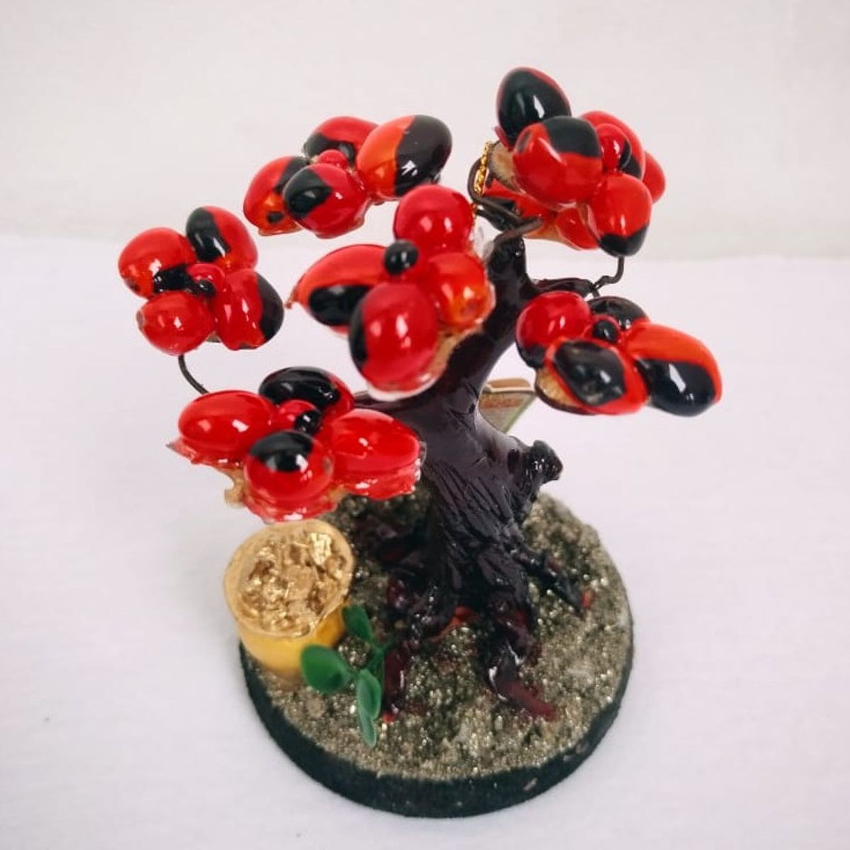 GENERICO - ARBOLITO  DE LA FELICIDAD BONSAI MEDIANO CON SEMILLAS DE HUAYRURO