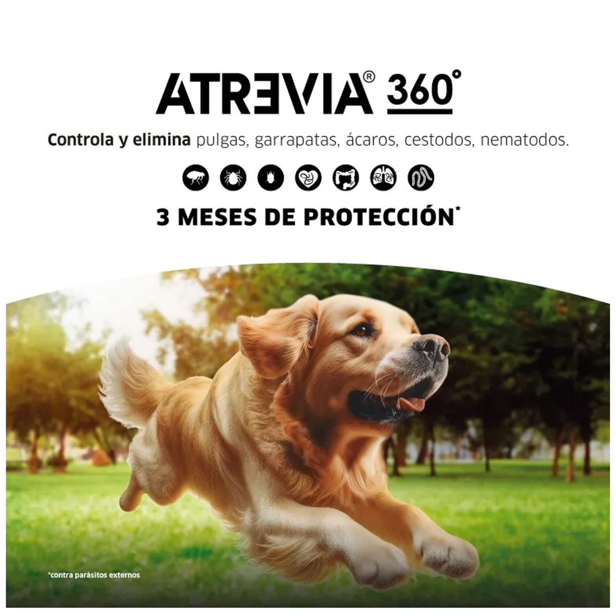 ATREVIA - Atrevia 360 Mini 2,5 kg - 5 kg X1 Tableta