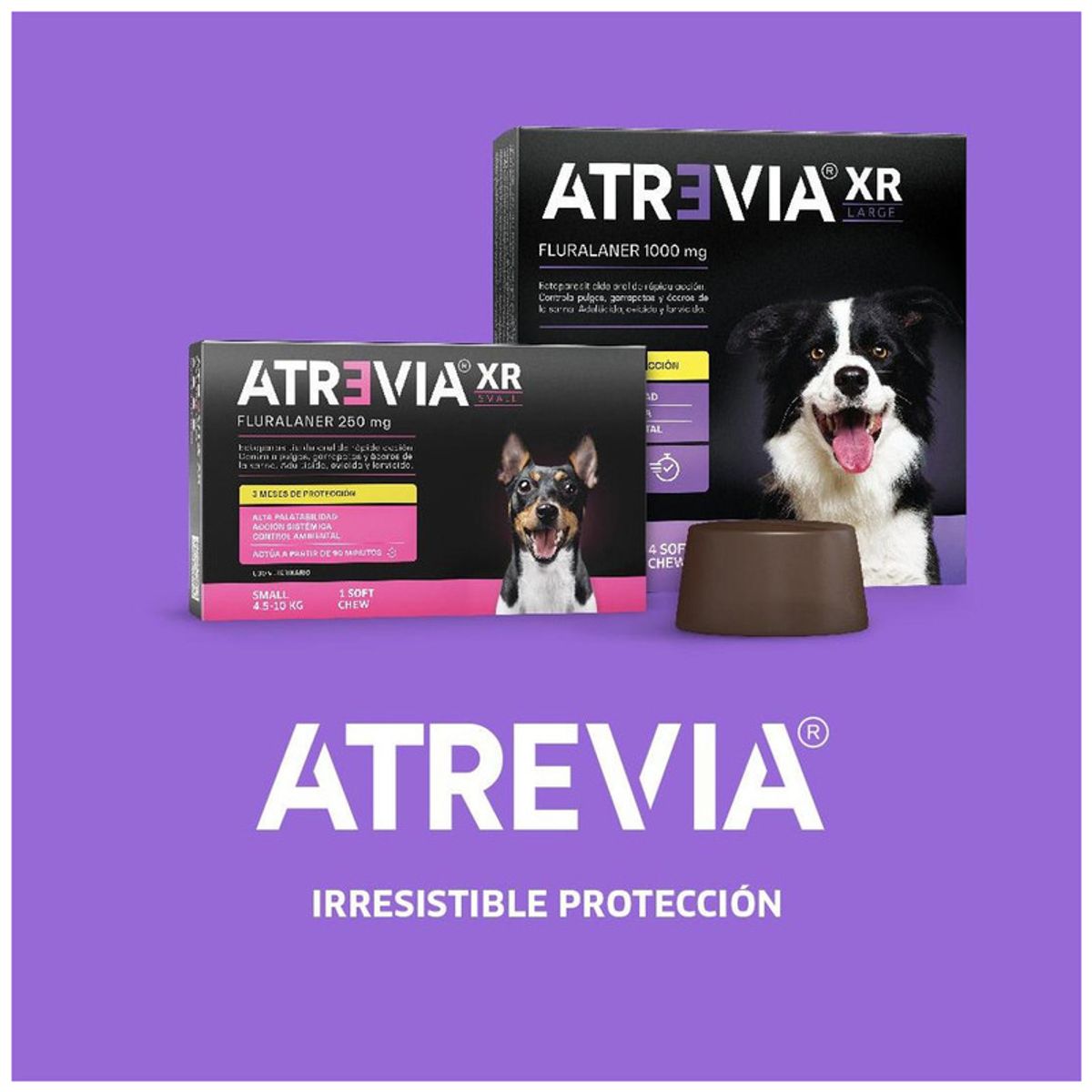 ATREVIA - Atrevia XR Small 4,5 kg - 10 kg X1 Tableta