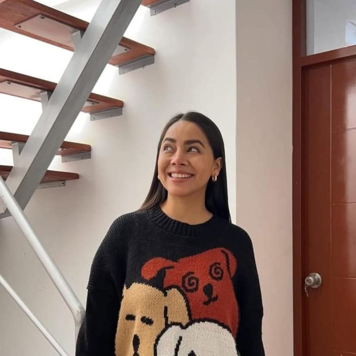 GENERICO - CHOMPA CARDIGAN PERROS ANIMADO