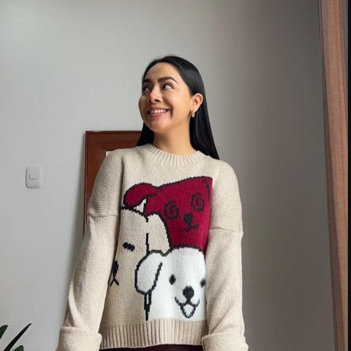 GENERICO - CHOMPA CARDIGAN PERROS ANIMADO