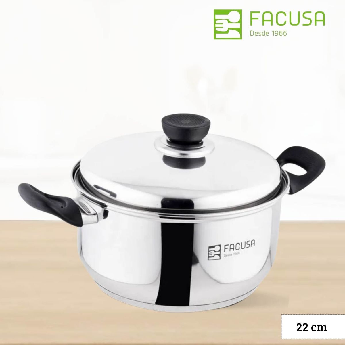 FACUSA - Olla de Acero Facusa 22 Cm -Tapa de Acero