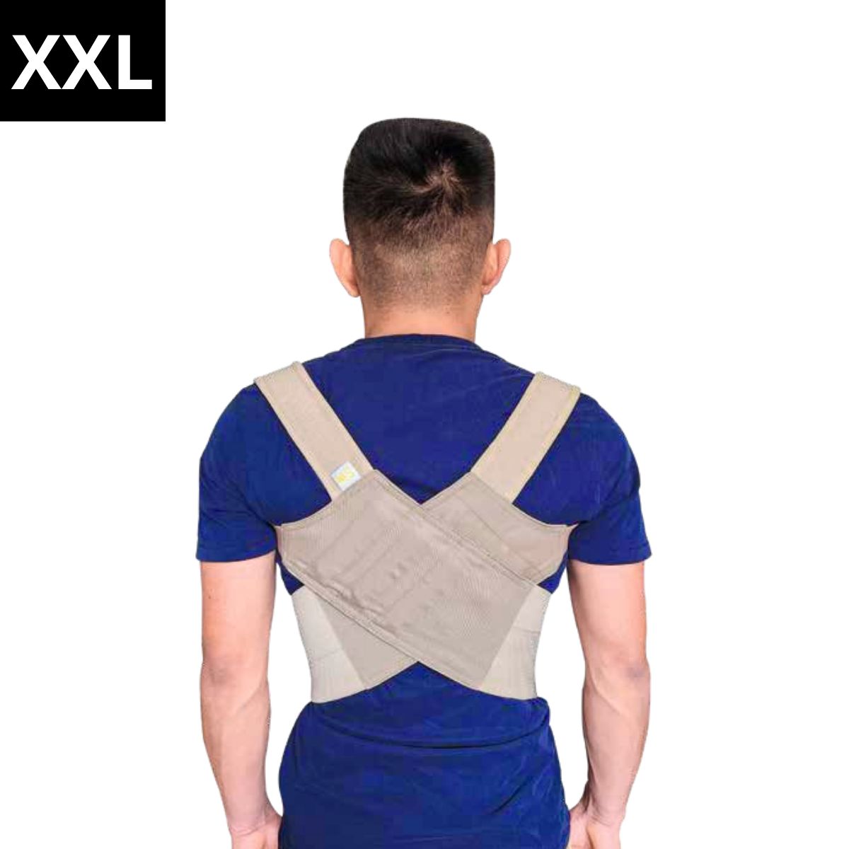 GENERICO - Corrector de Postura Ortopédico Beige XXL - MAXSPORTS