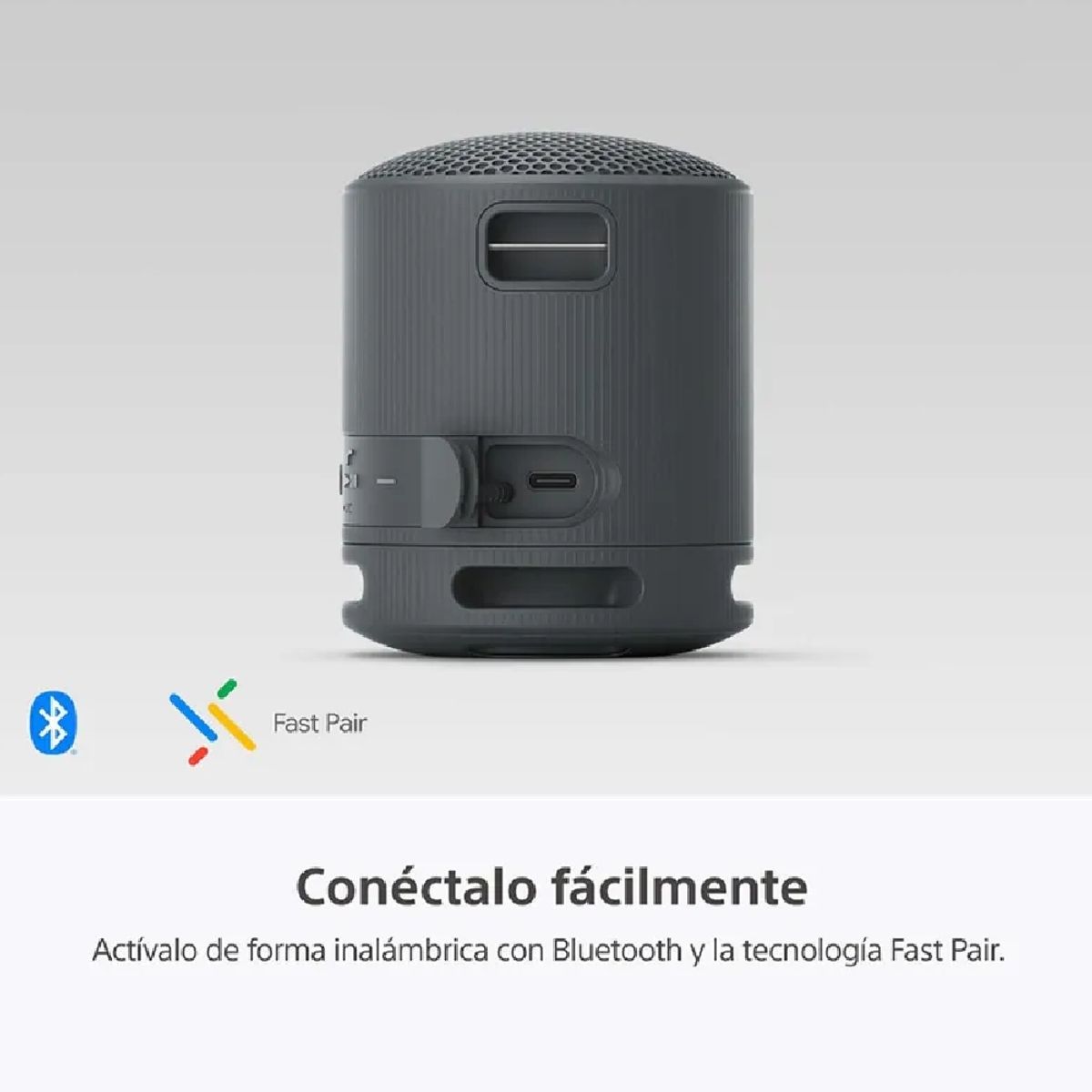 SONY - Parlante Bluetooth Sony SRS-XB100 Portátil