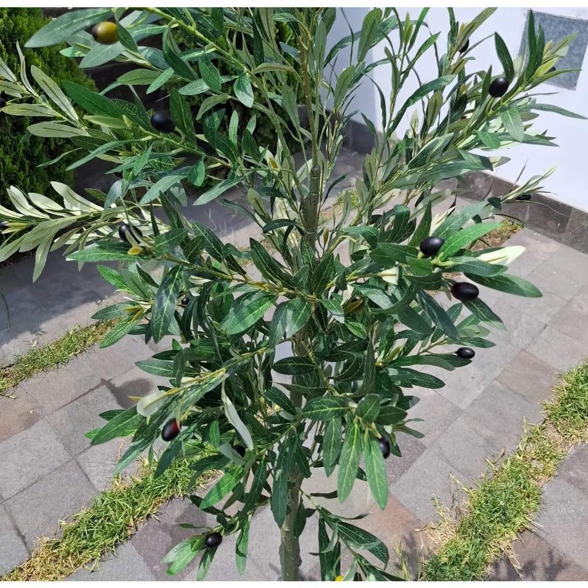 GENERICO - Planta artificial de olivo 1.55 m.