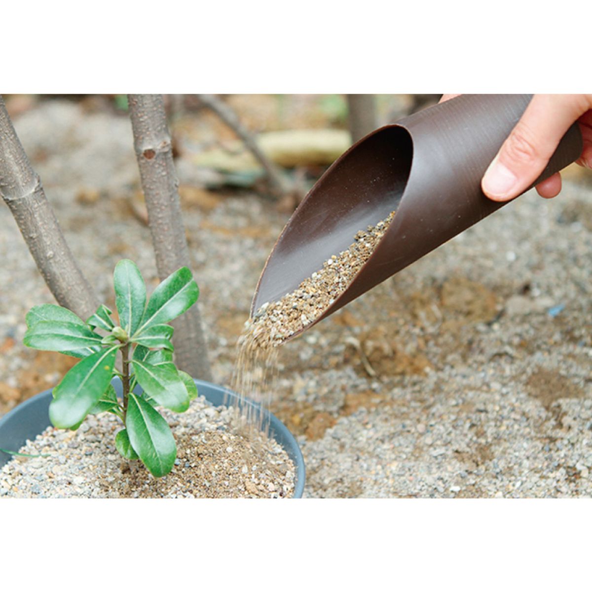 GENERICO - Pala Cilíndrica Plástica Bonsai Suculentas Jardinería Tamaño: 16 cm