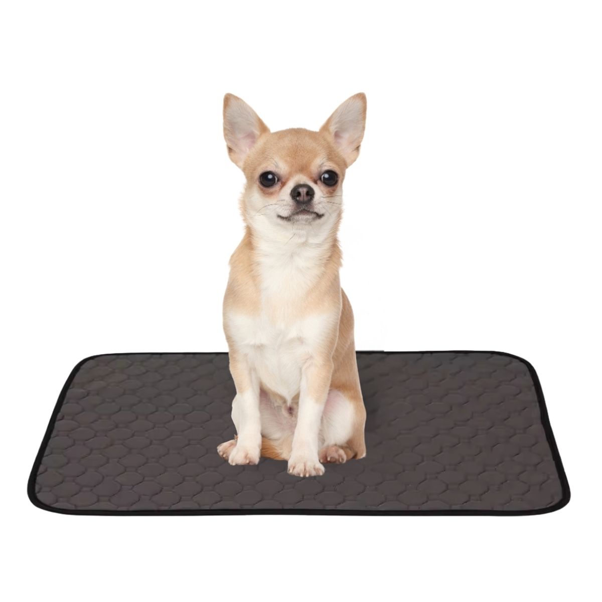 GENERICO - Pañal Piso Reusable Pee Pad DOGLEMI Gris Talla S 45 x 60cm
