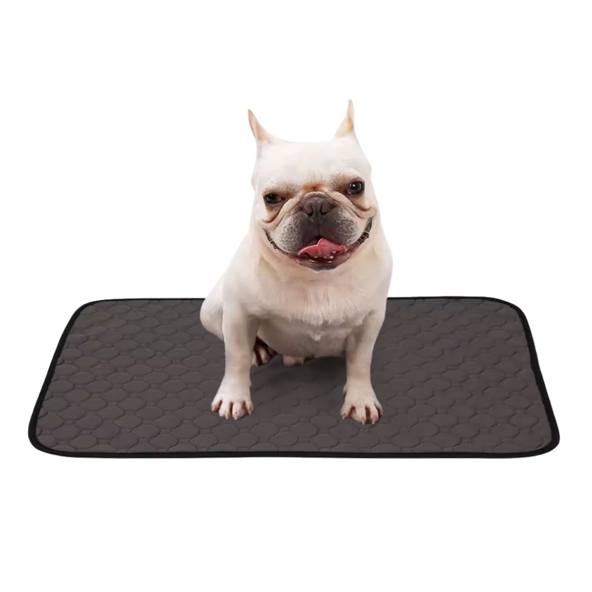 GENERICO - Pañal Piso Reusable Pee Pad DOGLEMI Gris Talla M 50 x 67cm