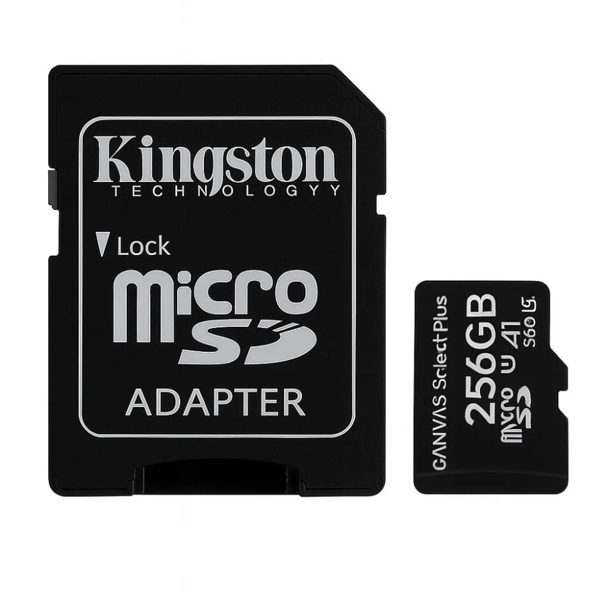 GENERICO - Memoria Micro Sd 256GB Kingston