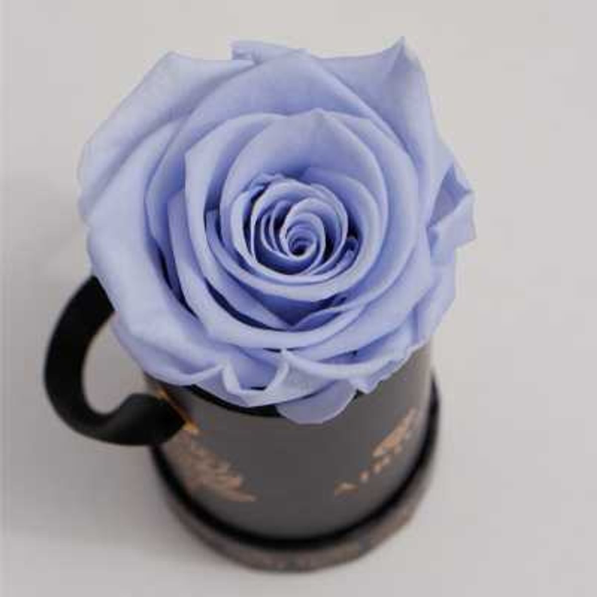 AIROSA - ROSAS PRESERVADAS - AIROSA  Flor Rosa Venus Airosa color lavanda