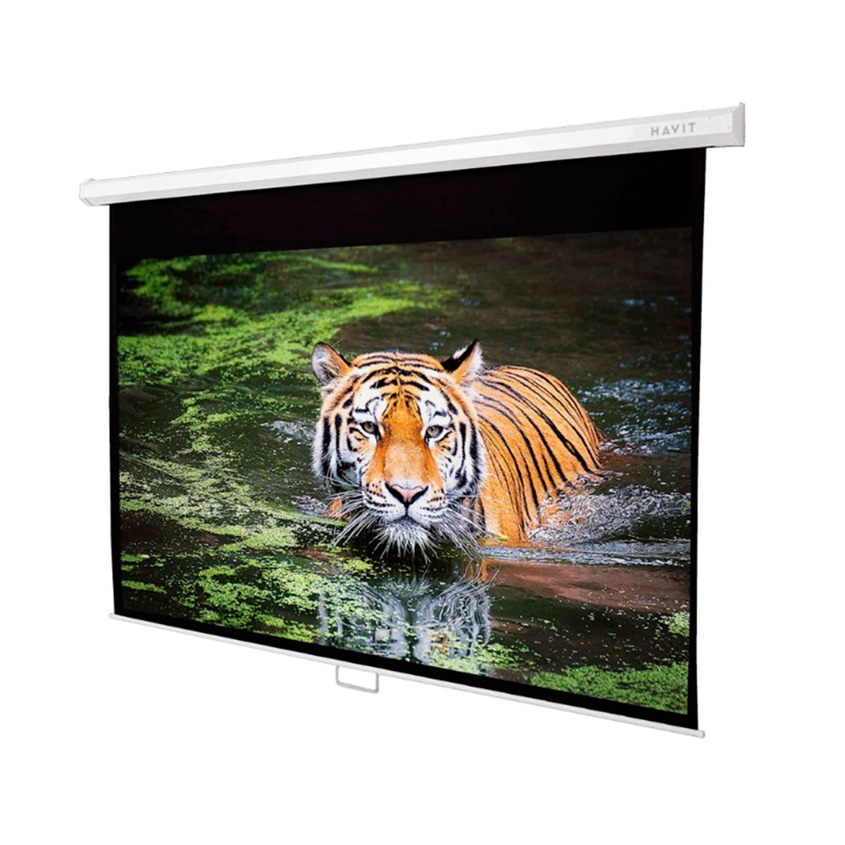 HAVIT - ECRAN PORTATIL HAVIT 100 PS100M  COLOR MARCO BLANCO PN PS100M