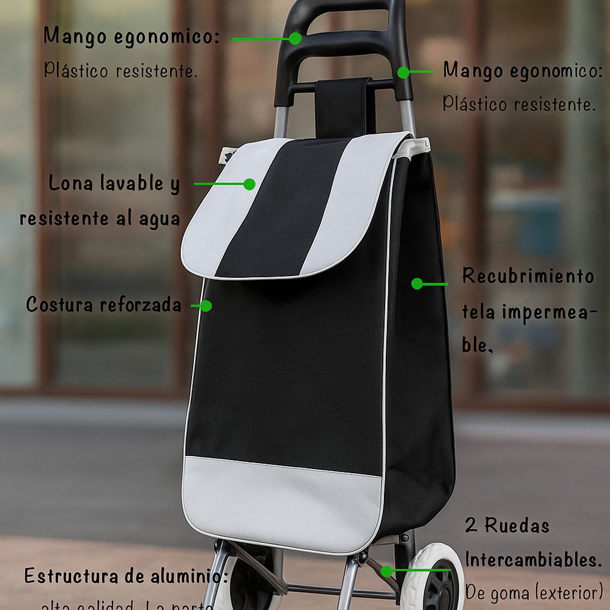 GENERICO - COCHE GRANDE PARA COMPRAS MERCADO HOGAR CON BOLSILLO Y CIERRE