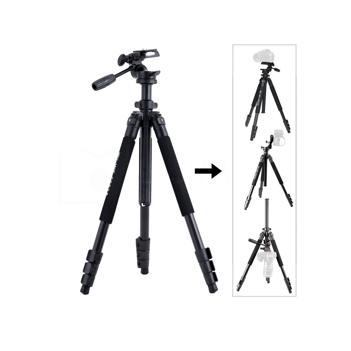 WEIFENG - Trípode de Video Weifeng 6663A