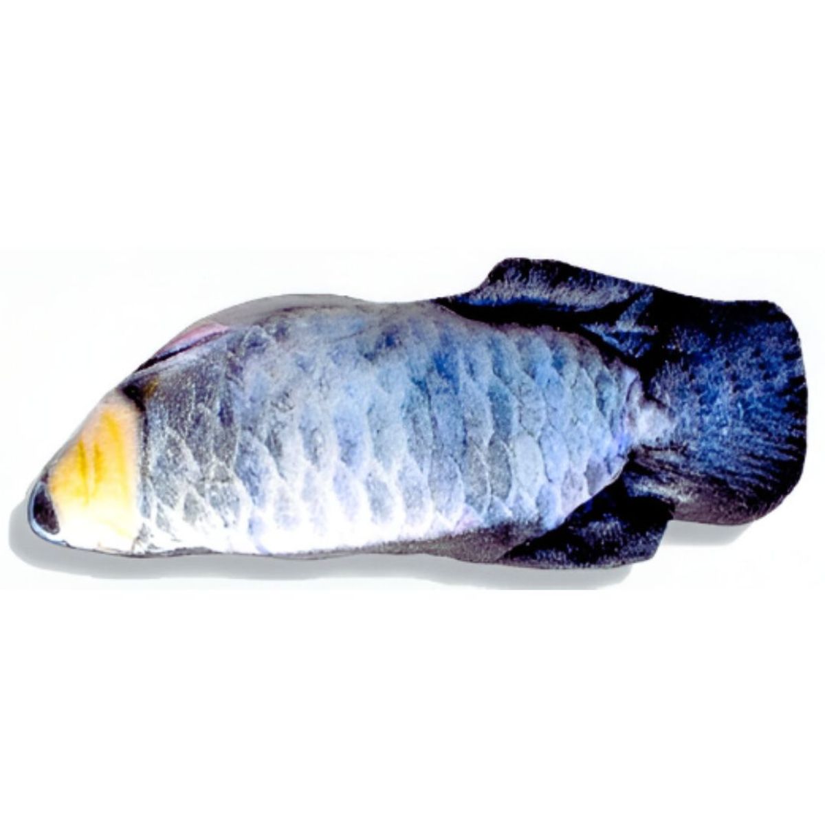 GENERICO - Pescado Electrónico con Sensor Movimiento para Gato MODELO 6